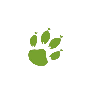 Logo Allons Pêcher